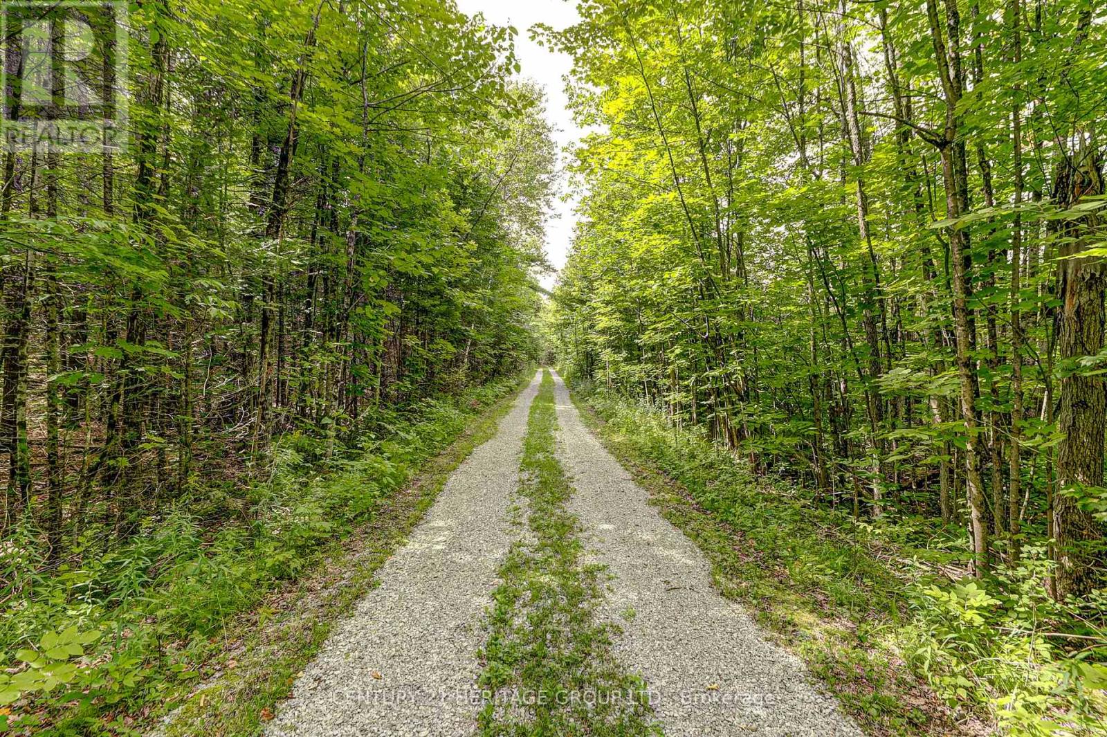 4411 Upper Big Chute Road, Severn, Ontario  L0K 1E0 - Photo 29 - S12342107