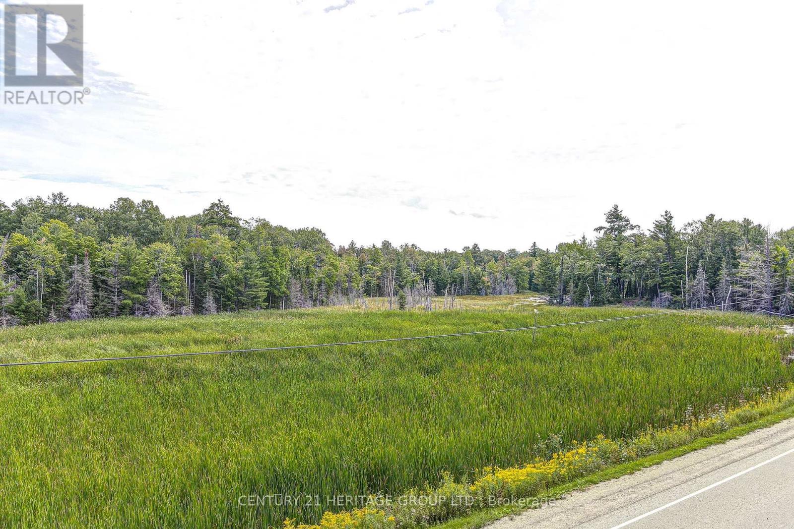 4411 Upper Big Chute Road, Severn, Ontario  L0K 1E0 - Photo 36 - S12342107
