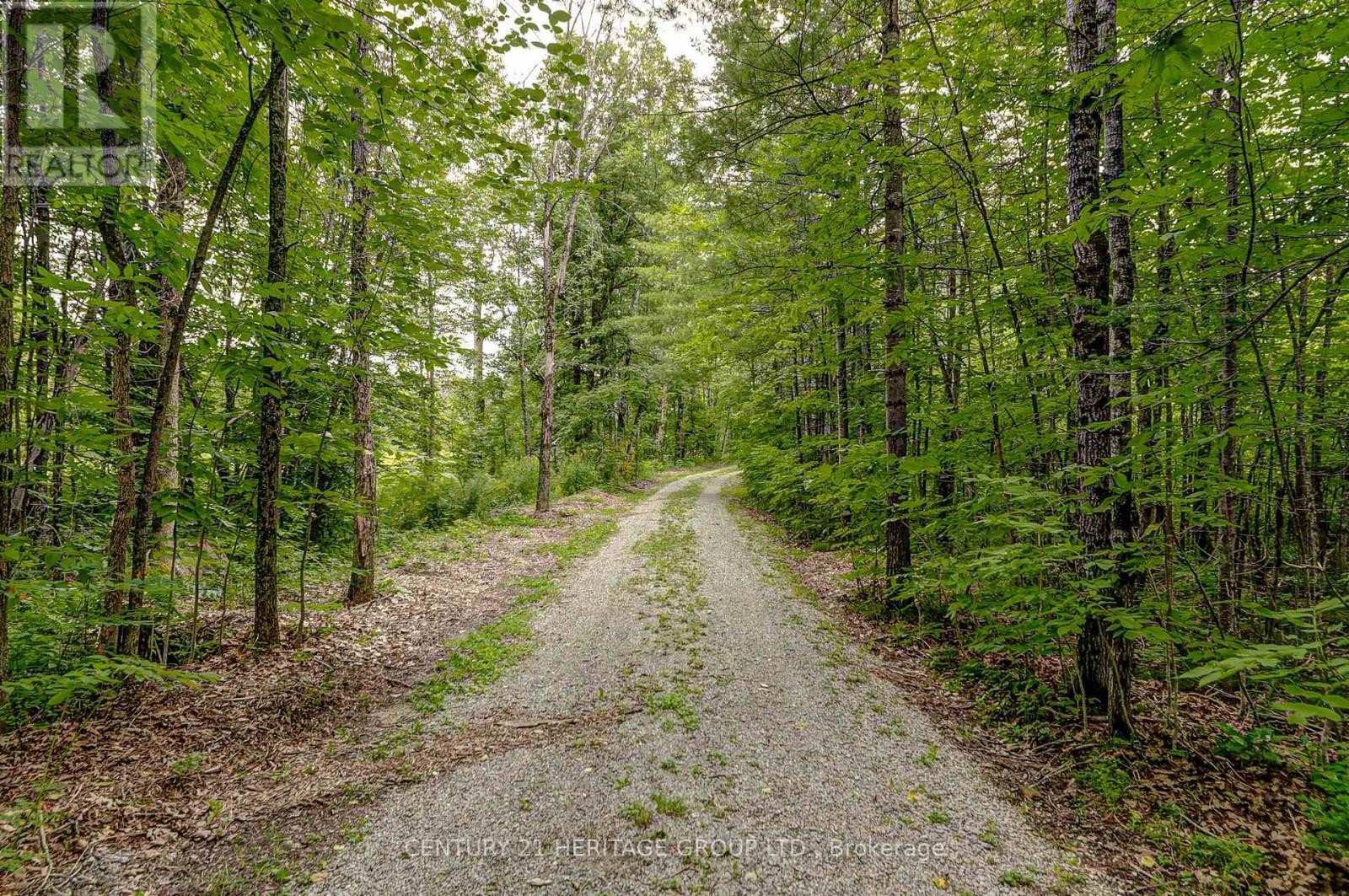 4411 Upper Big Chute Road, Severn, Ontario  L0K 1E0 - Photo 4 - S12342107