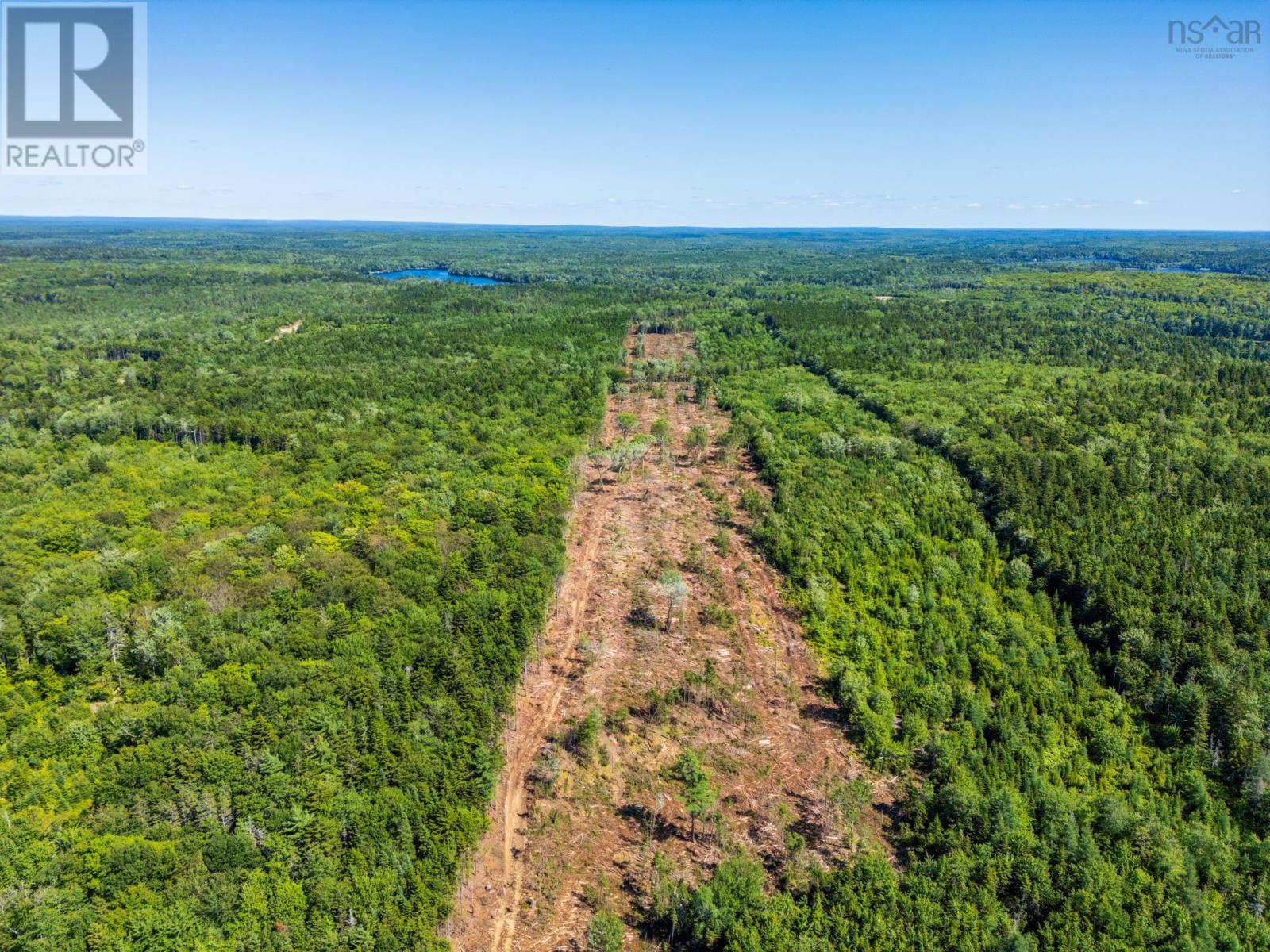 Lot Ticken Lake Road, Briar Lake, Nova Scotia  B0W 3T0 - Photo 23 - 202518890