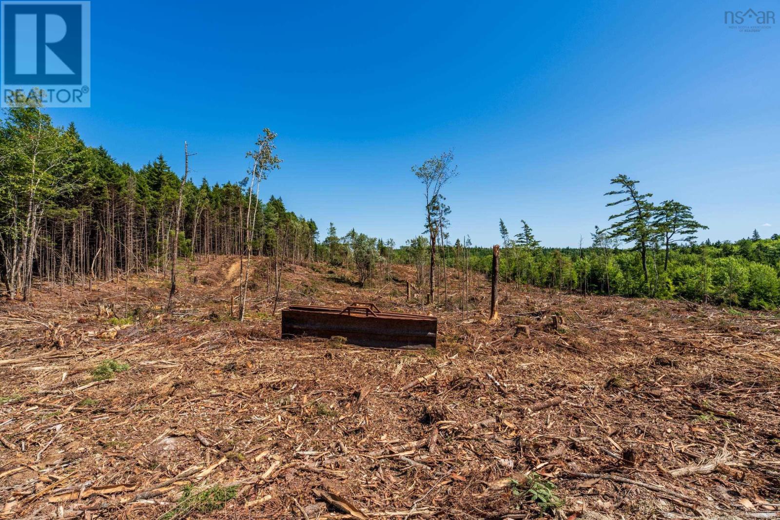 Lot Ticken Lake Road, Briar Lake, Nova Scotia  B0W 3T0 - Photo 3 - 202518890