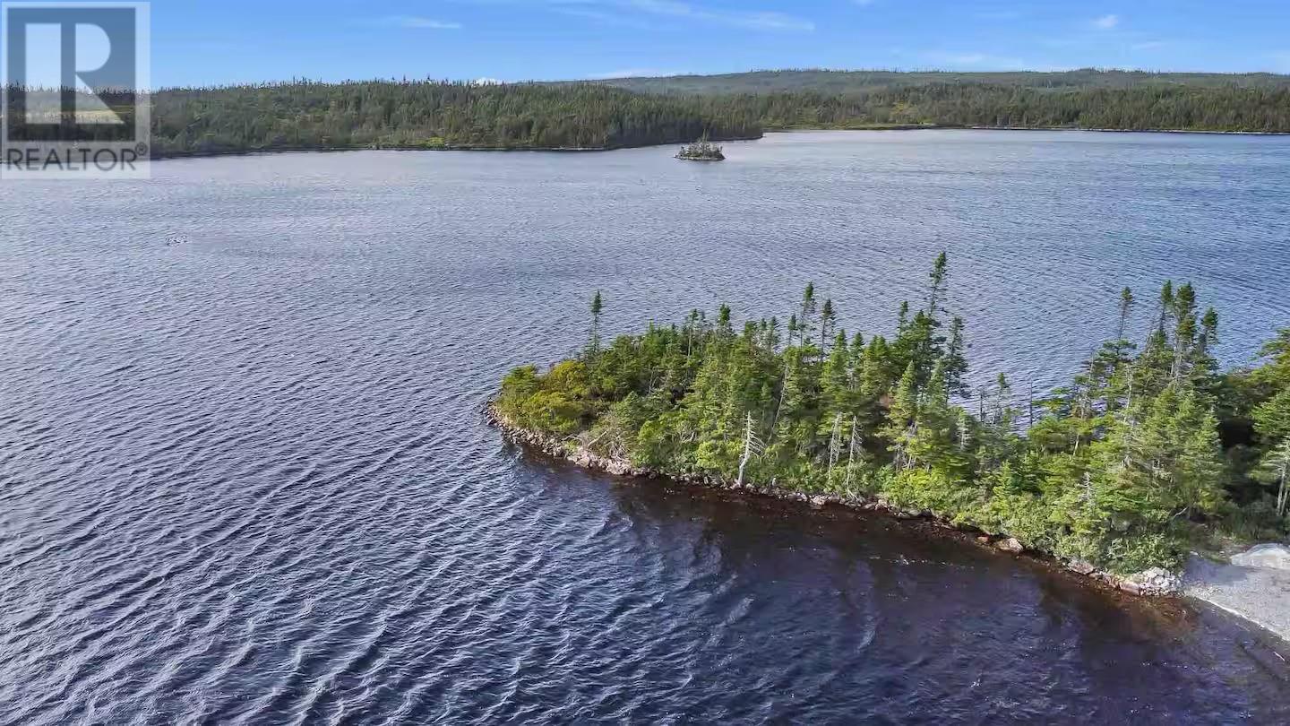 83 Hodgewater Line, Makinsons, Newfoundland & Labrador  A0A 2X0 - Photo 5 - 1288923