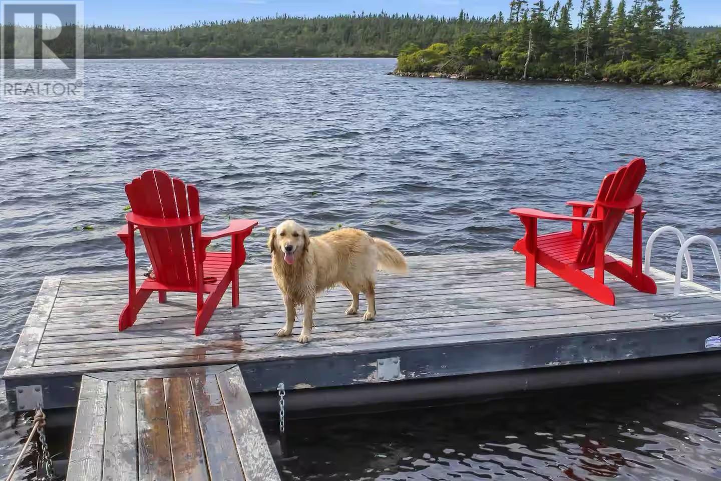 83 Hodgewater Line, Makinsons, Newfoundland & Labrador  A0A 2X0 - Photo 6 - 1288923