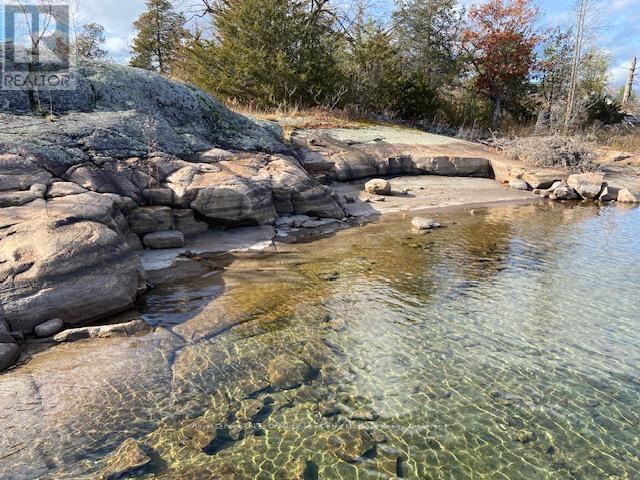 2 Is 320 Georgian, Georgian Bay, Ontario  L0K 1S0 - Photo 11 - X10414329