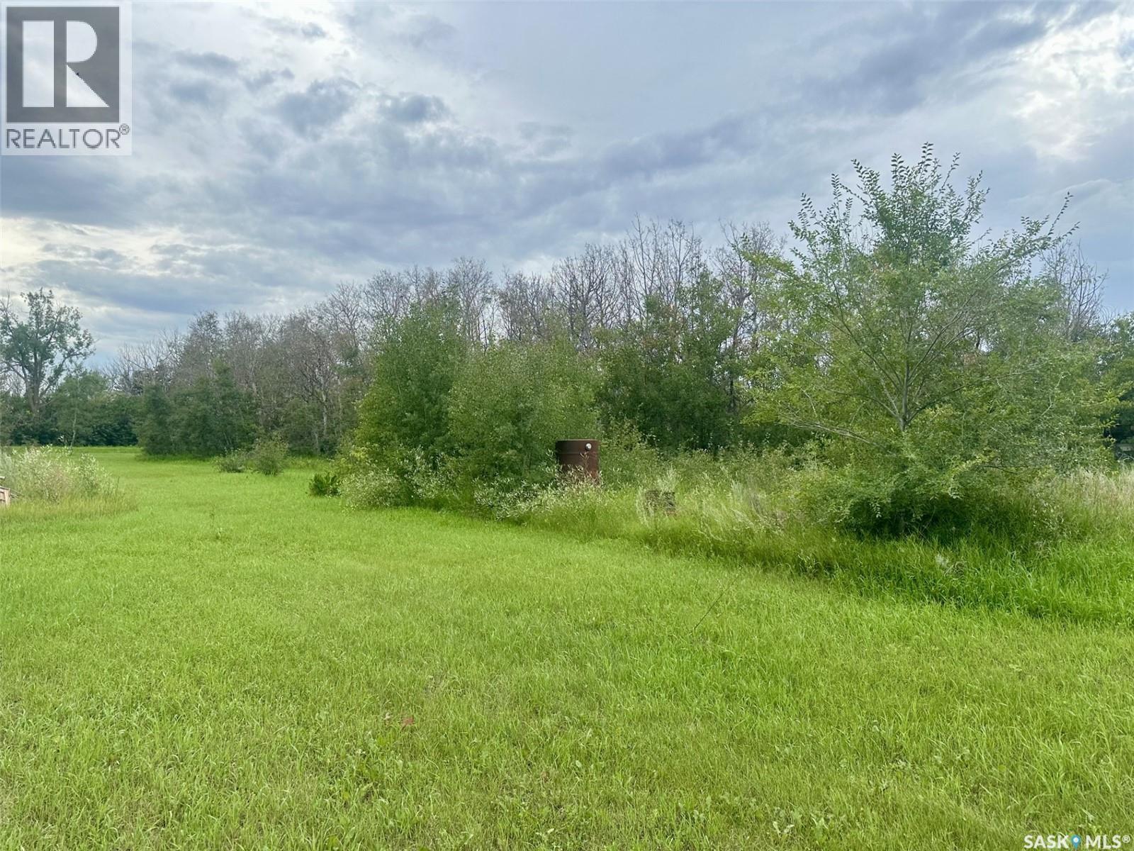 3 Poplar Street, Ruddell, Saskatchewan  S0M 2S0 - Photo 29 - SK015529