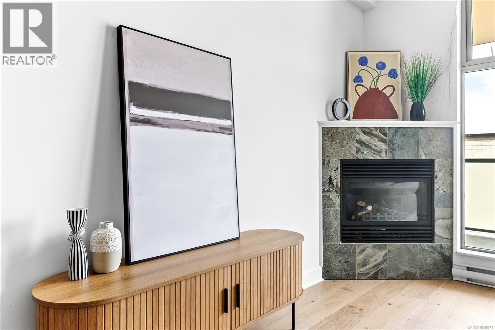 212 225 Menzies St, Victoria, British Columbia V8V 2G6 - Photo 5 - 1010971