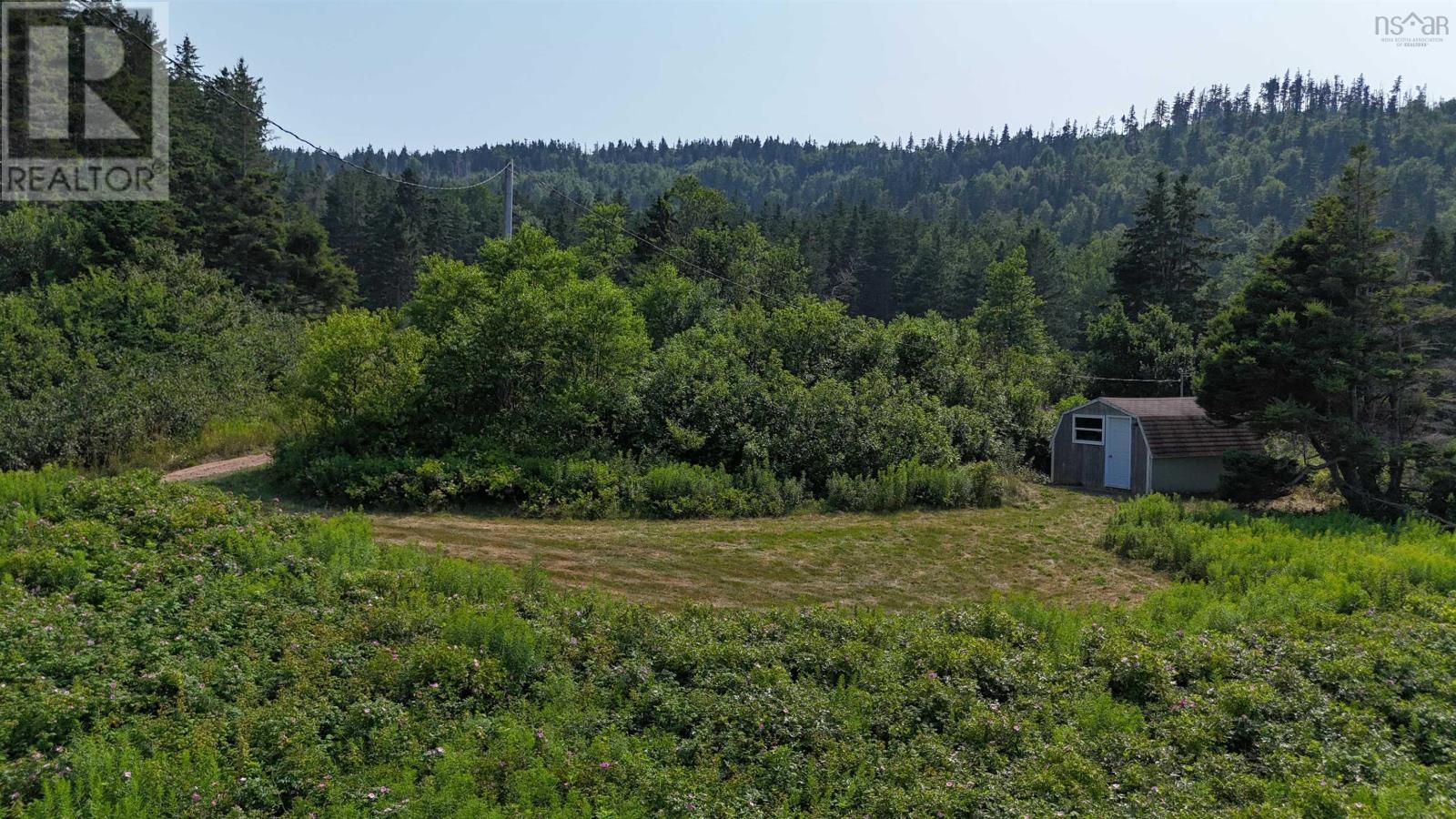 798 Mountain Road, Mabou Mines, Nova Scotia  B0E 1X0 - Photo 12 - 202518072