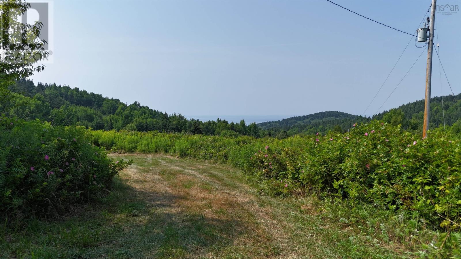 798 Mountain Road, Mabou Mines, Nova Scotia  B0E 1X0 - Photo 5 - 202518072