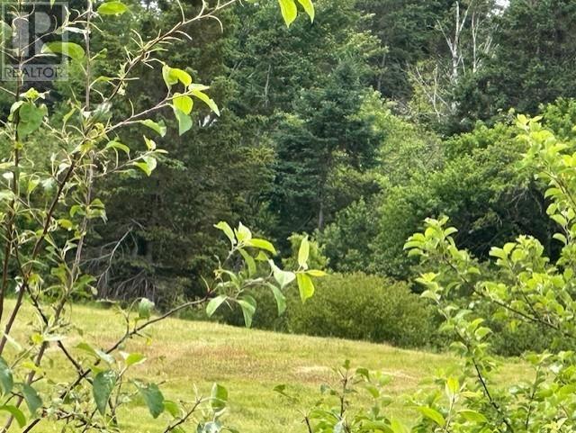 Lot 2 245 Highway, North Grant, Nova Scotia  B2G 2L1 - Photo 4 - 202517232