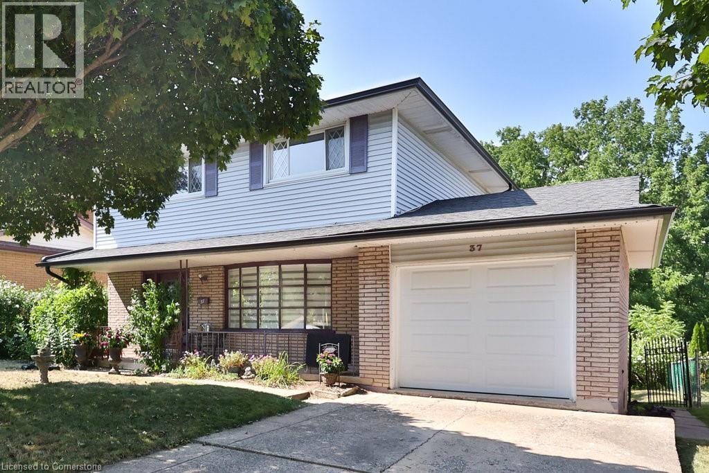 Property at 37 SUNRISE Crescent image 1