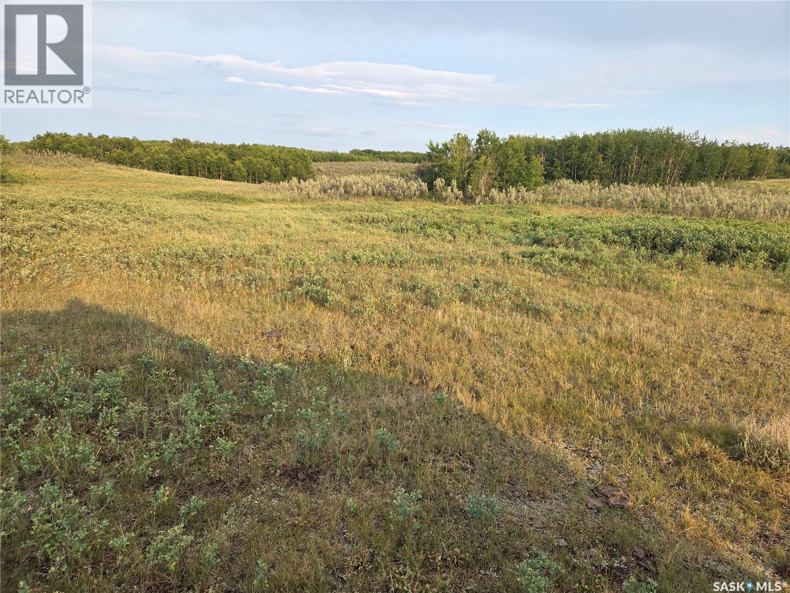 Marln Road Ranch, Parkdale Rm No. 498, Saskatchewan