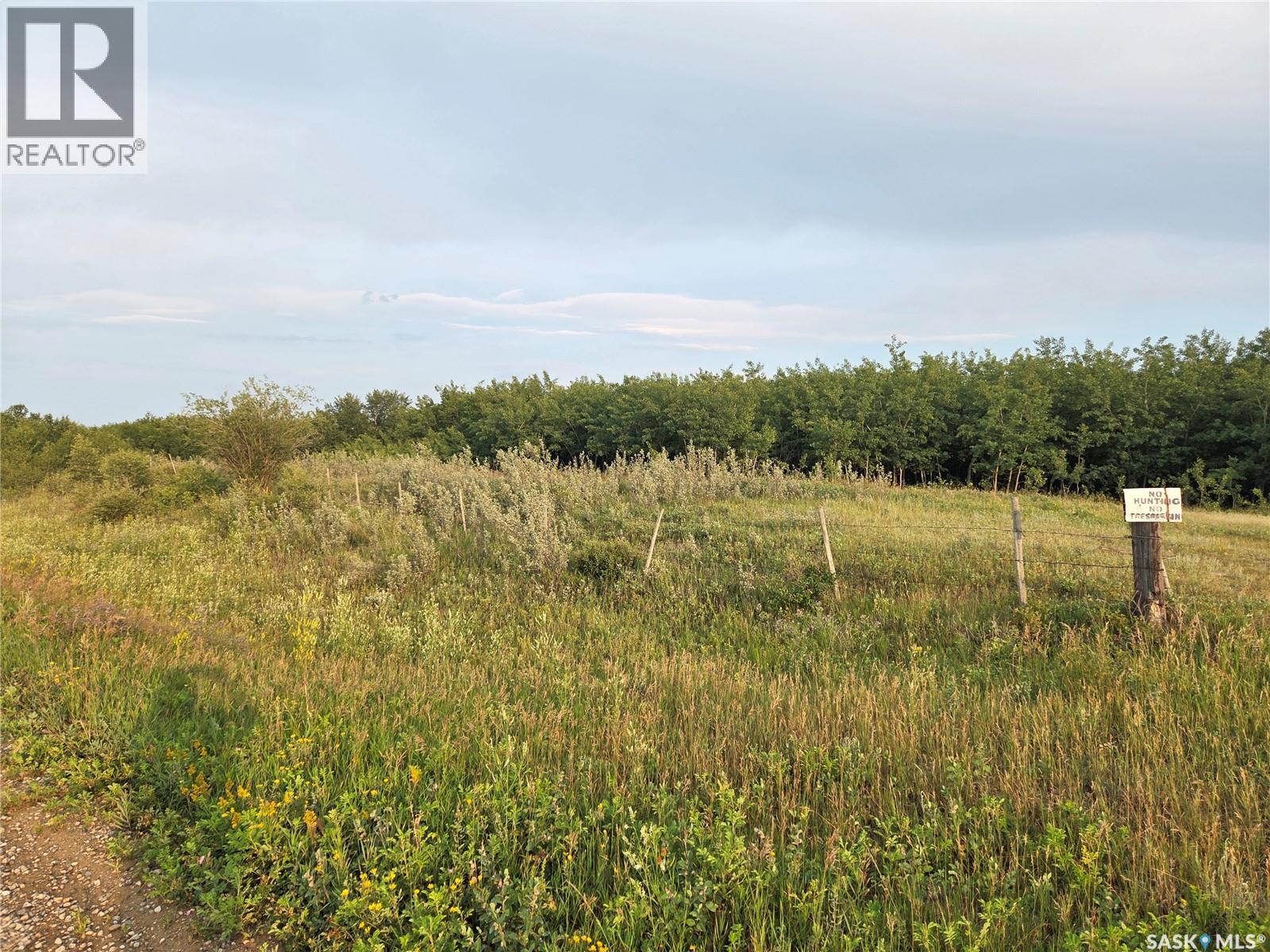 Marln Road Ranch, Parkdale Rm No. 498, Saskatchewan  S0M 0Y0 - Photo 10 - SK015340