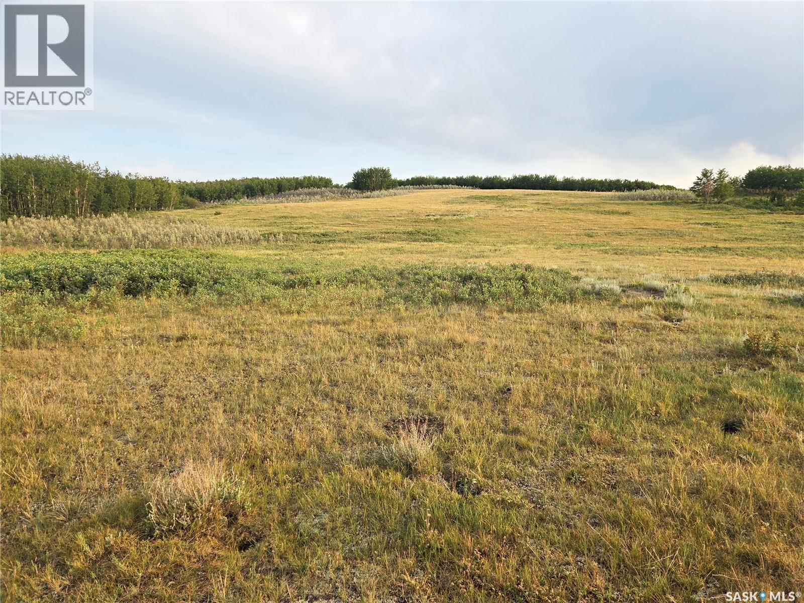 Marln Road Ranch, Parkdale Rm No. 498, Saskatchewan  S0M 0Y0 - Photo 2 - SK015340