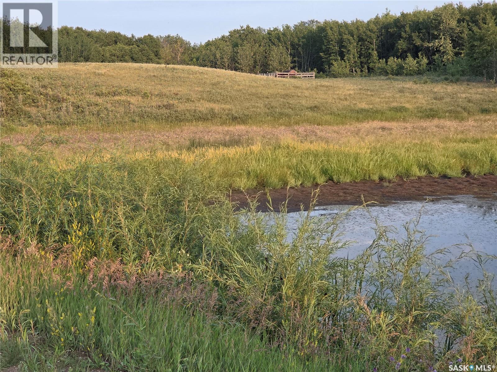 Marln Road Ranch, Parkdale Rm No. 498, Saskatchewan  S0M 0Y0 - Photo 3 - SK015340