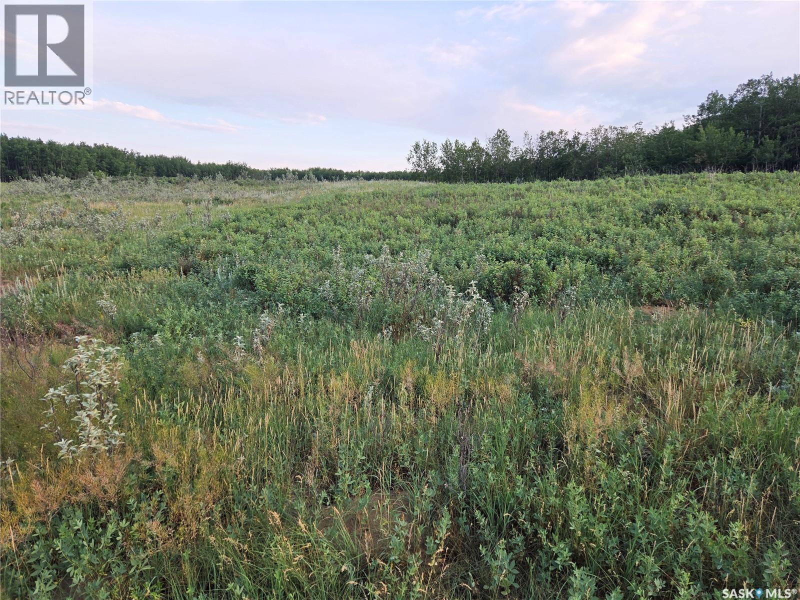 Marln Road Ranch, Parkdale Rm No. 498, Saskatchewan  S0M 0Y0 - Photo 5 - SK015340