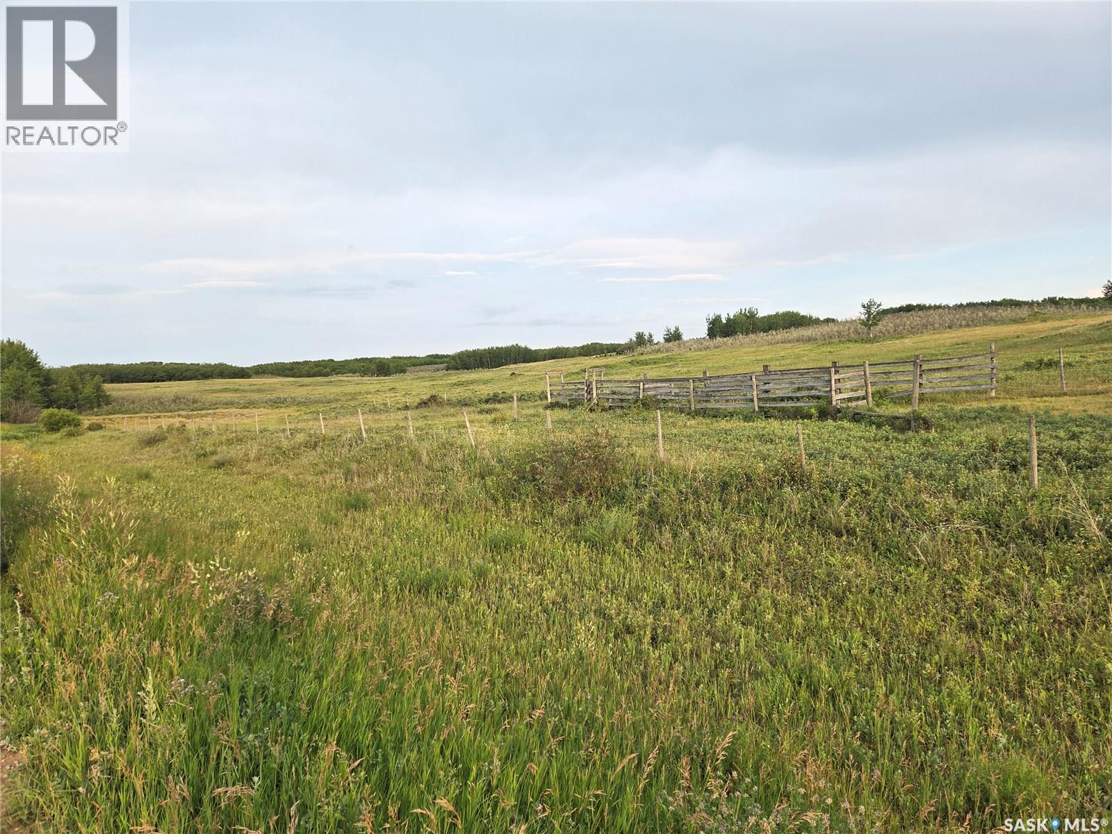Marln Road Ranch, Parkdale Rm No. 498, Saskatchewan  S0M 0Y0 - Photo 8 - SK015340