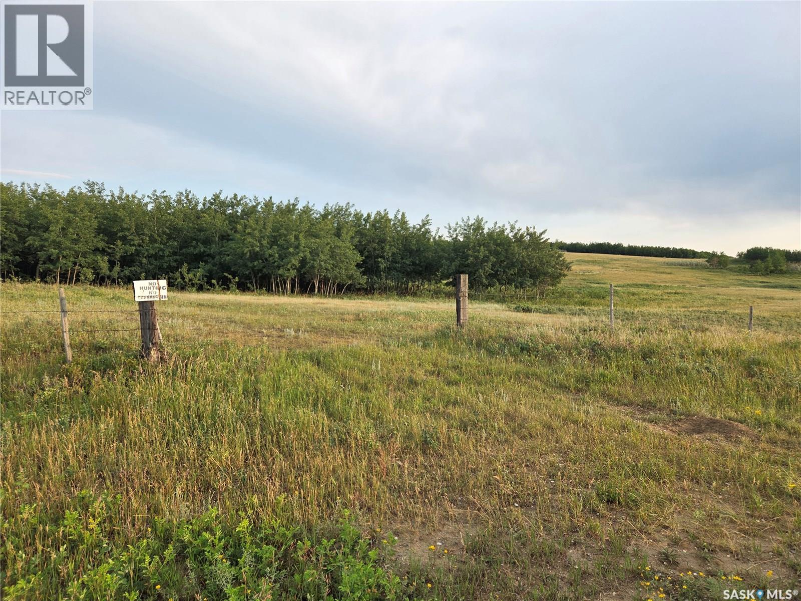 Marln Road Ranch, Parkdale Rm No. 498, Saskatchewan  S0M 0Y0 - Photo 9 - SK015340