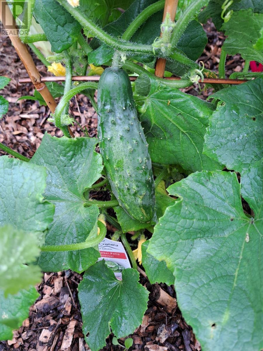 35 Hector Street, Port Maitland, Nova Scotia  B5A 5R8 - Photo 36 - 202518693