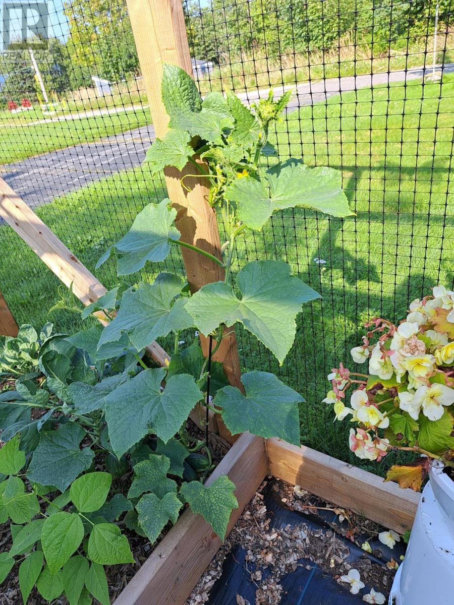 35 Hector Street, Port Maitland, Nova Scotia  B5A 5R8 - Photo 35 - 202518693