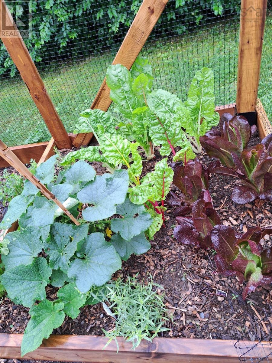 35 Hector Street, Port Maitland, Nova Scotia  B5A 5R8 - Photo 37 - 202518693