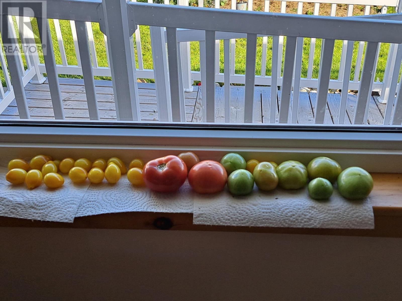 35 Hector Street, Port Maitland, Nova Scotia  B5A 5R8 - Photo 39 - 202518693