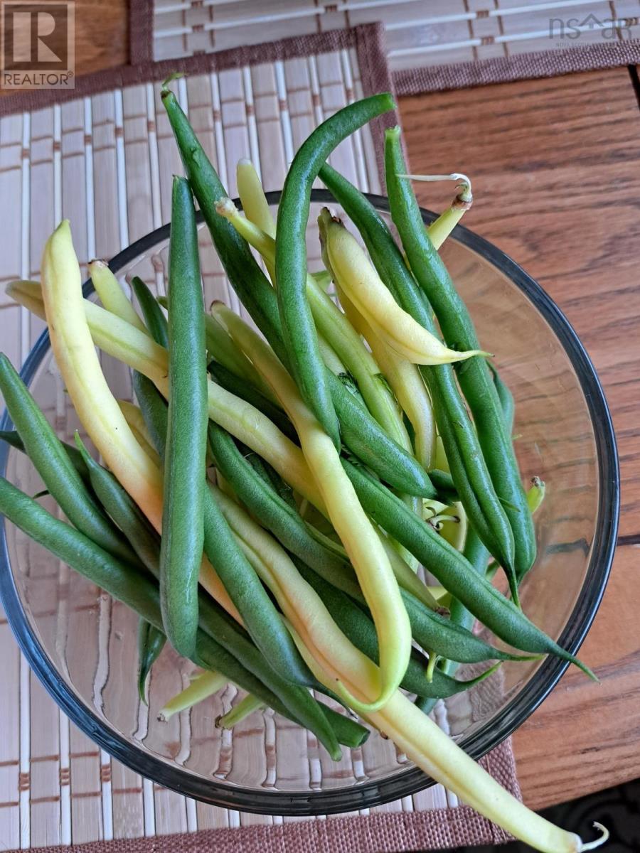 35 Hector Street, Port Maitland, Nova Scotia  B5A 5R8 - Photo 34 - 202518693