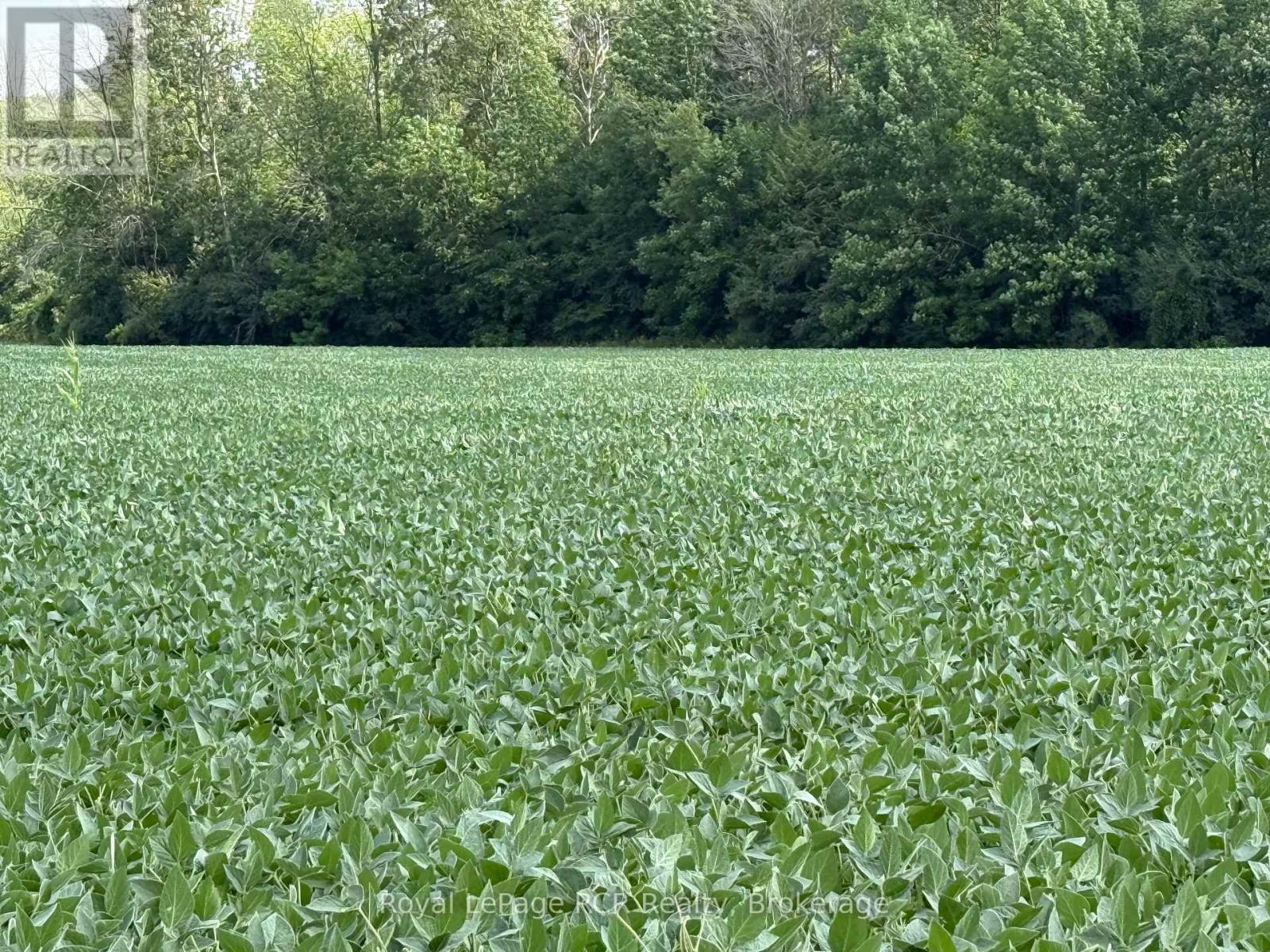 Lot 25 7 Concession, West Grey, Ontario  N0G 2L0 - Photo 3 - X12342237