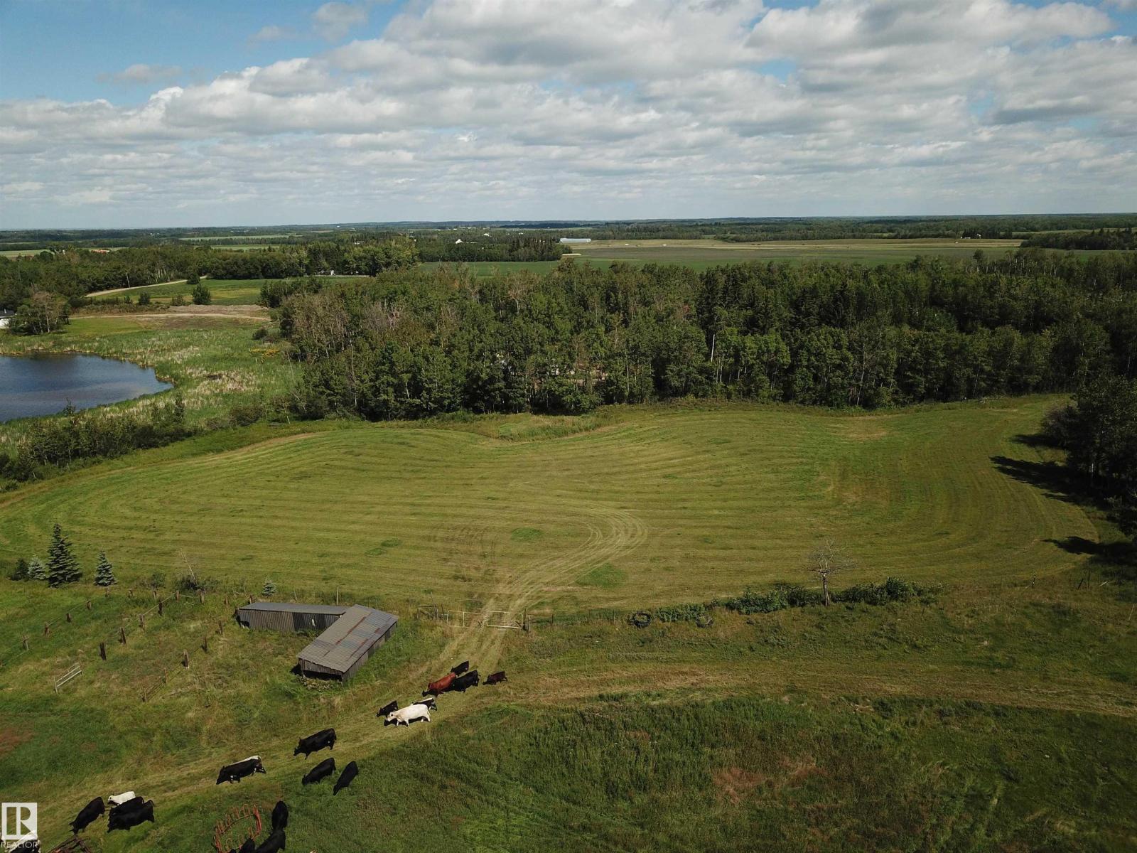 53121 Rg Rd 212, Rural Strathcona County, Alberta  T8G 1G1 - Photo 5 - E4452419