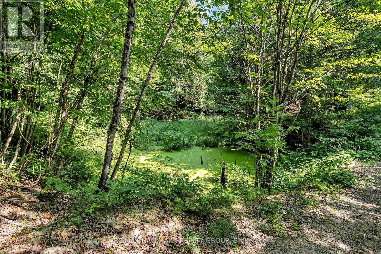 656 Ch Station Road, Alfred And Plantagenet, Ontario  K0B 1A0 - Photo 37 - X12343080