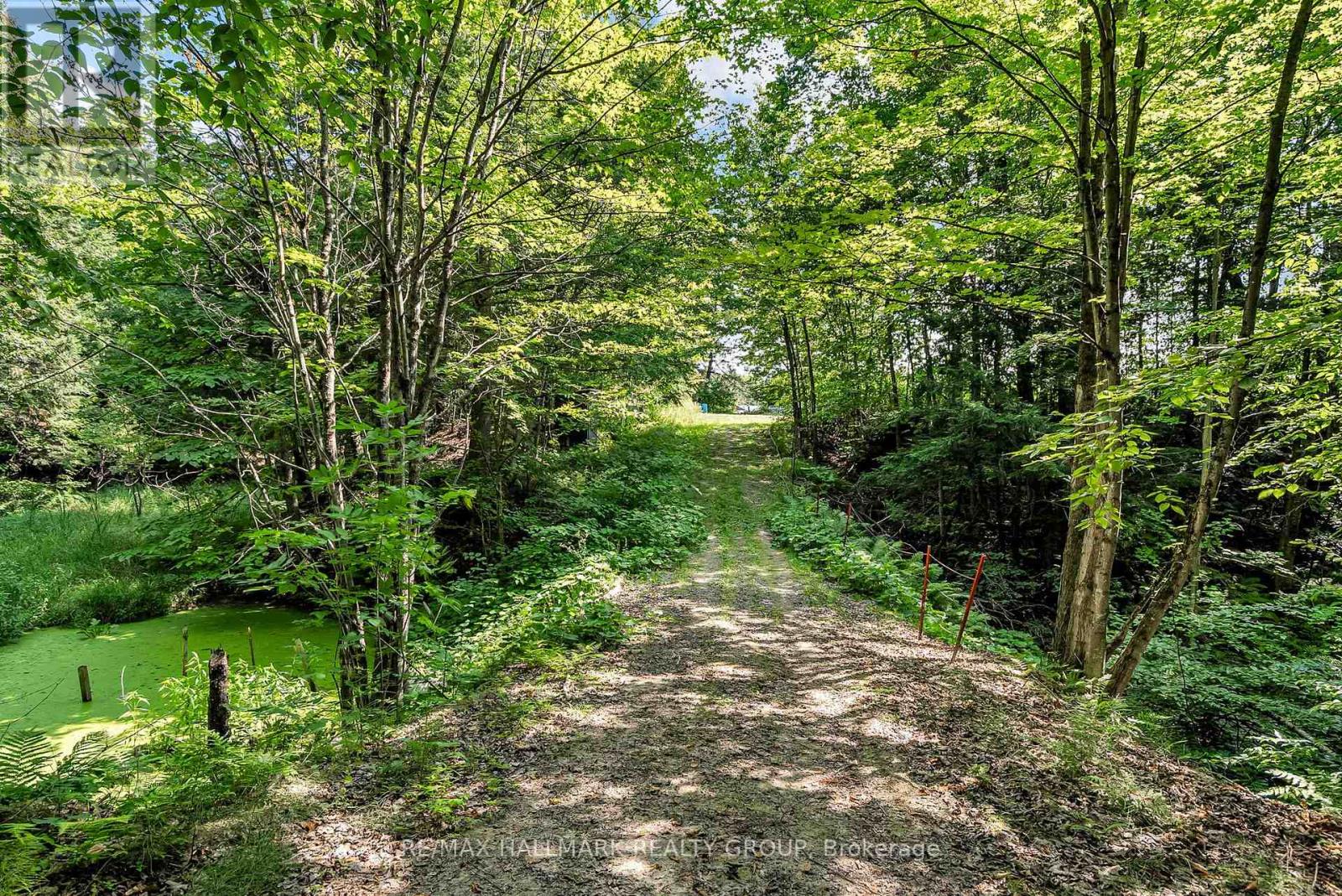 656 Ch Station Road, Alfred And Plantagenet, Ontario  K0B 1A0 - Photo 38 - X12343080