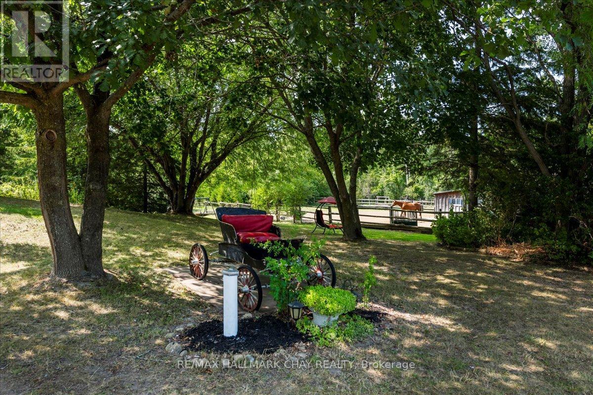 25222 Park Road, Georgina, Ontario  L0E 1R0 - Photo 2 - N12343166