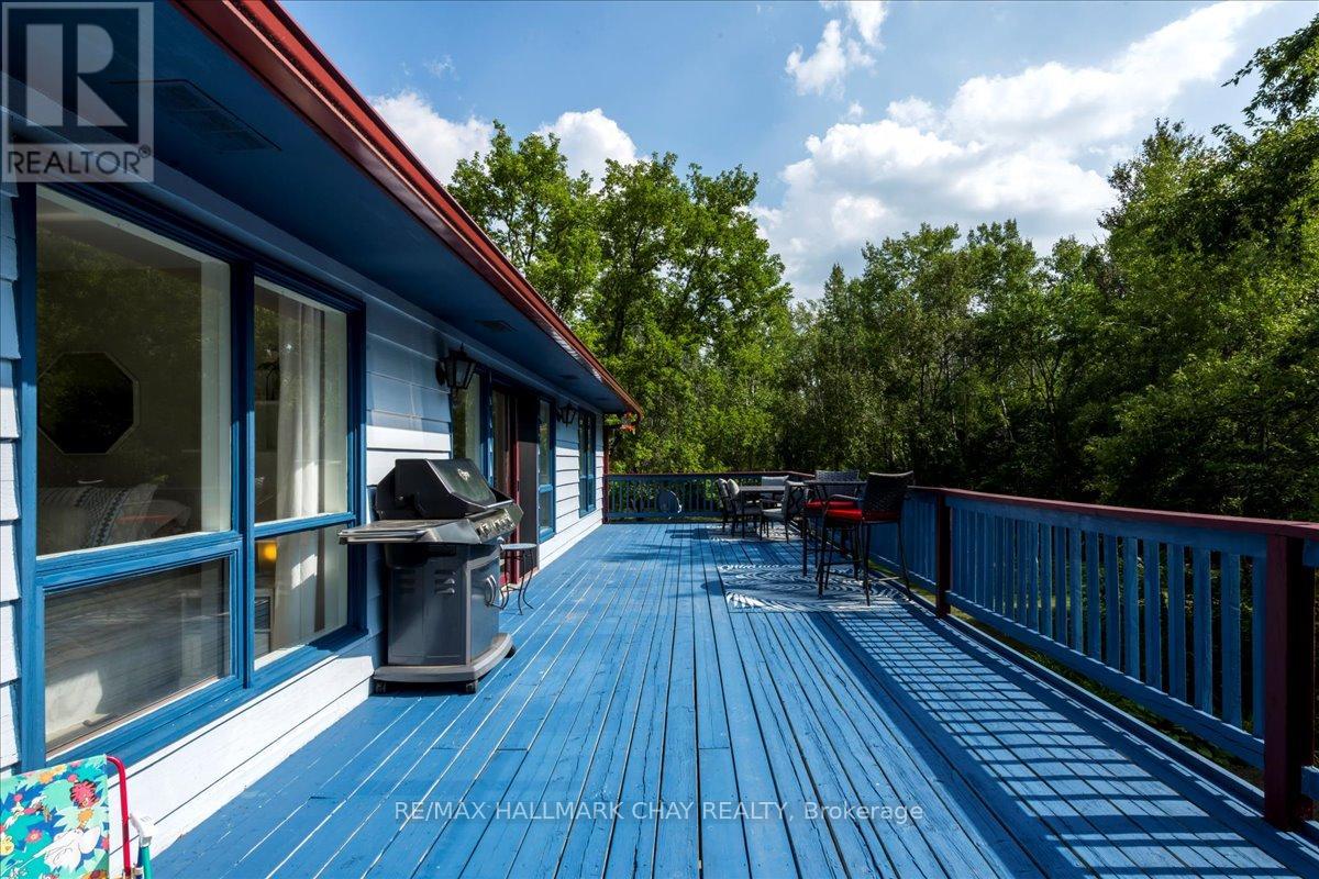 25222 Park Road, Georgina, Ontario  L0E 1R0 - Photo 24 - N12343166