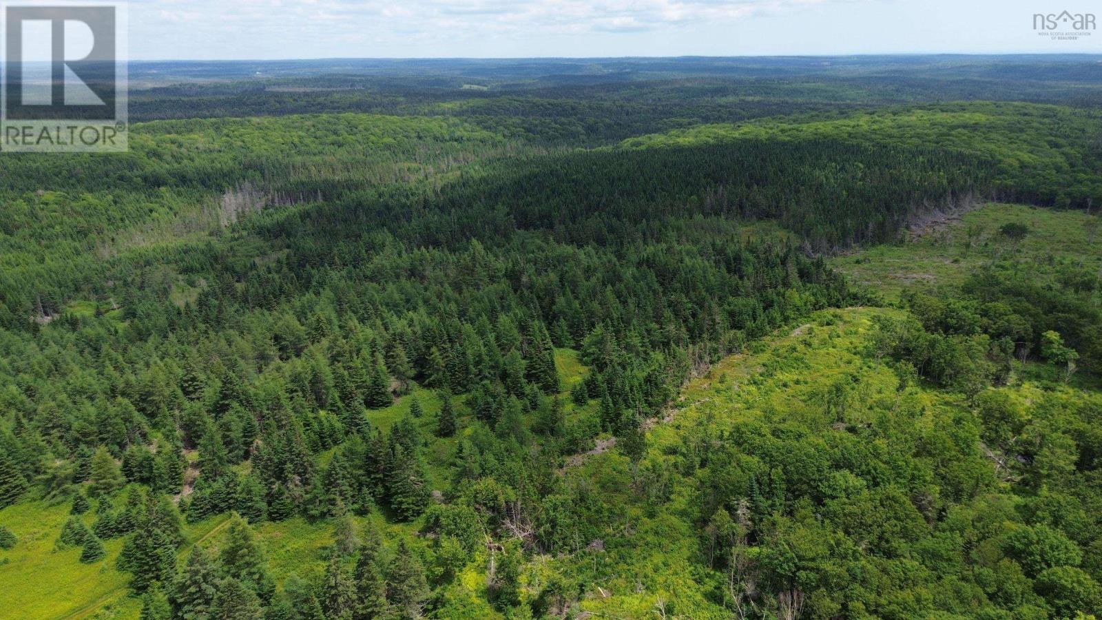 Lot Shaws Road, Lewis Cove Road, Nova Scotia  B0E 3B0 - Photo 5 - 202325236