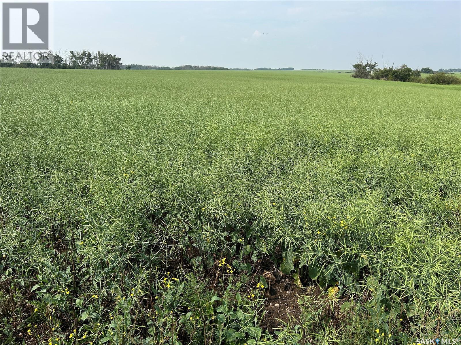 5 Quarters Rm 220, Mckillop Rm No. 220, Saskatchewan  S0G 0L0 - Photo 8 - SK015361