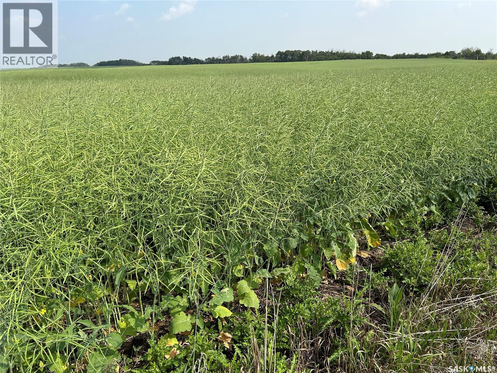 5 Quarters Rm 220, Mckillop Rm No. 220, Saskatchewan  S0G 0L0 - Photo 10 - SK015361
