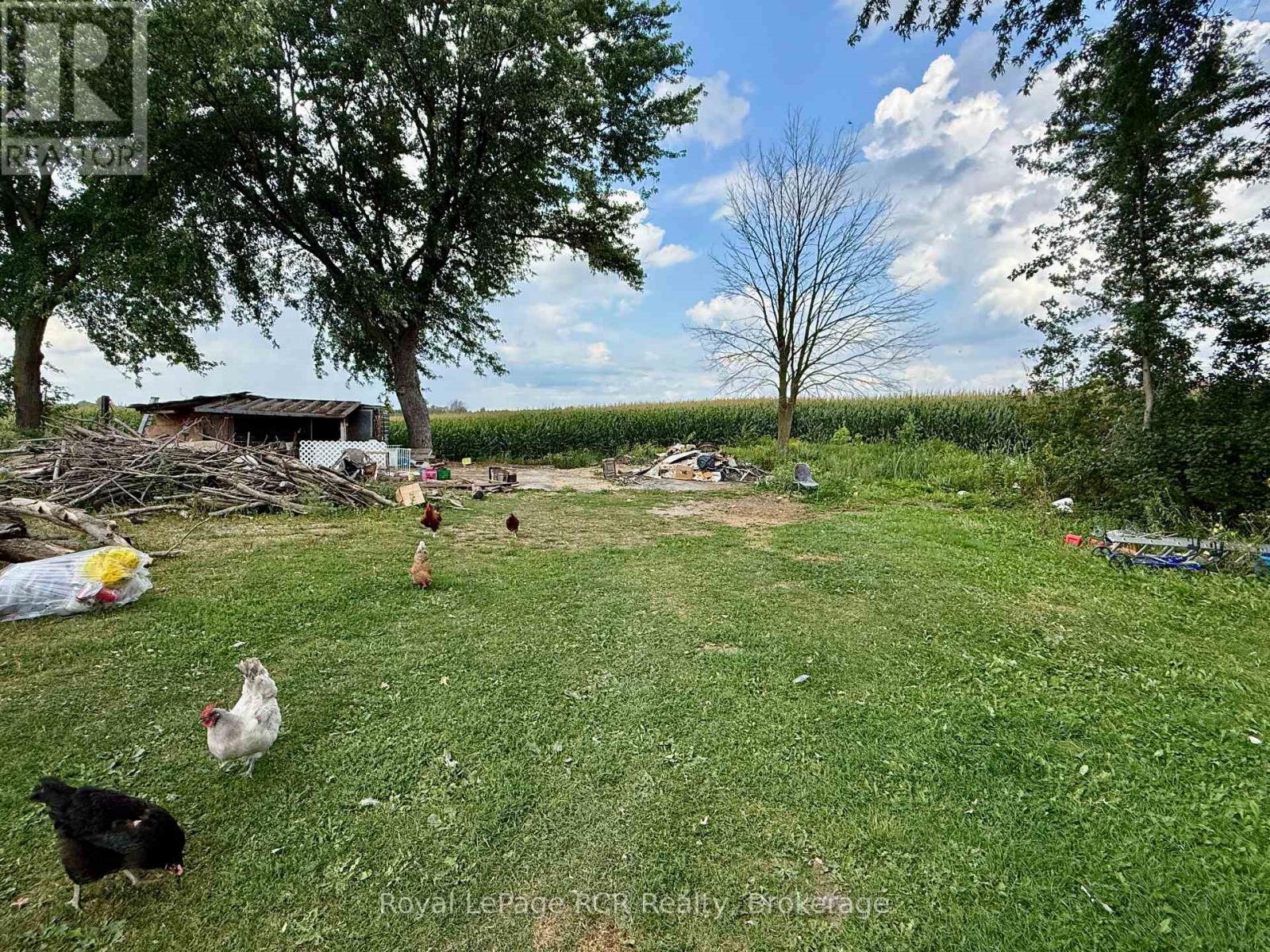 1328 2 Concession E, South Bruce, Ontario  N0G 2S0 - Photo 6 - X12343251