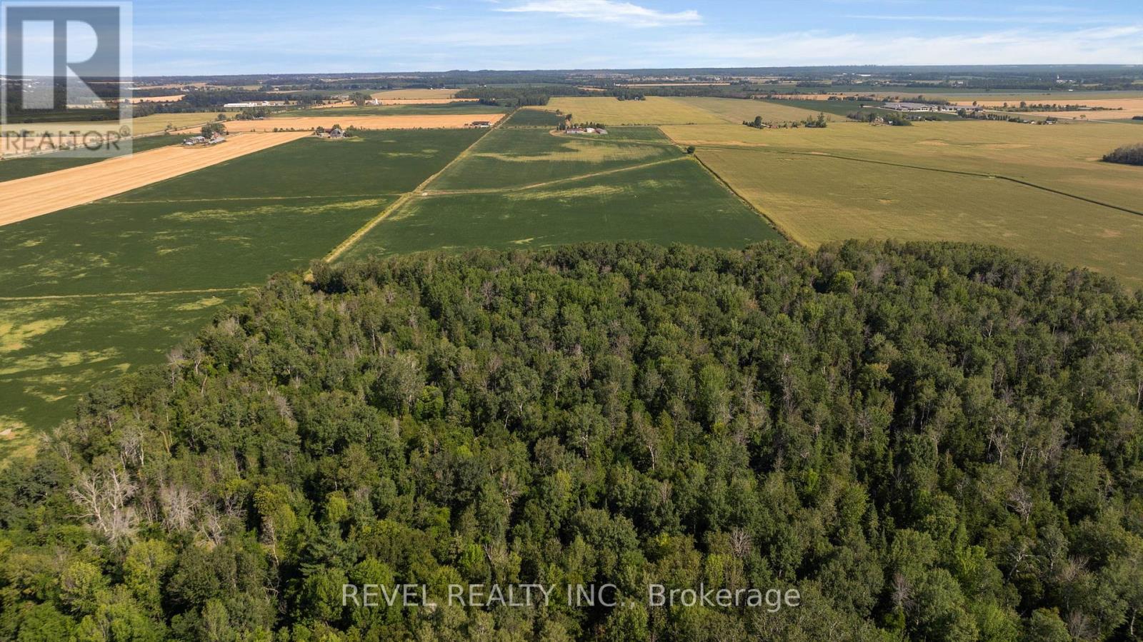 5375 Conc 9 Sunnidale Concession, Clearview, Ontario  L0M 1S0 - Photo 47 - S12343259