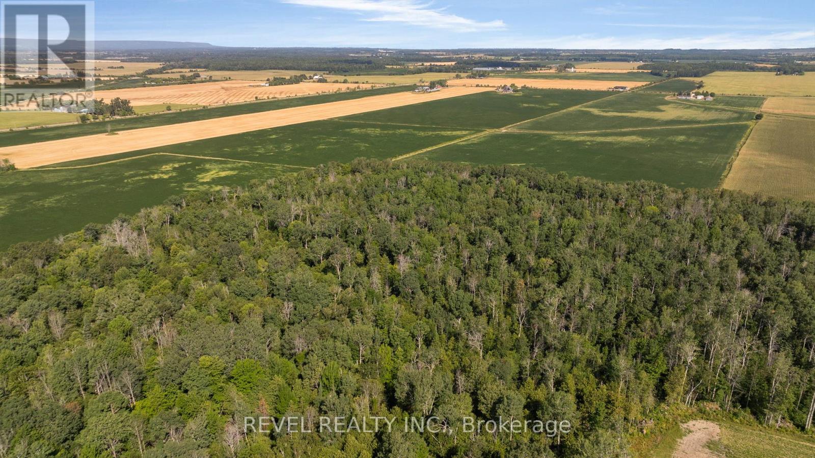 5375 Conc 9 Sunnidale Concession, Clearview, Ontario  L0M 1S0 - Photo 48 - S12343259