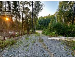 1654 Mackenzie Lake Road, South Algonquin, Ca