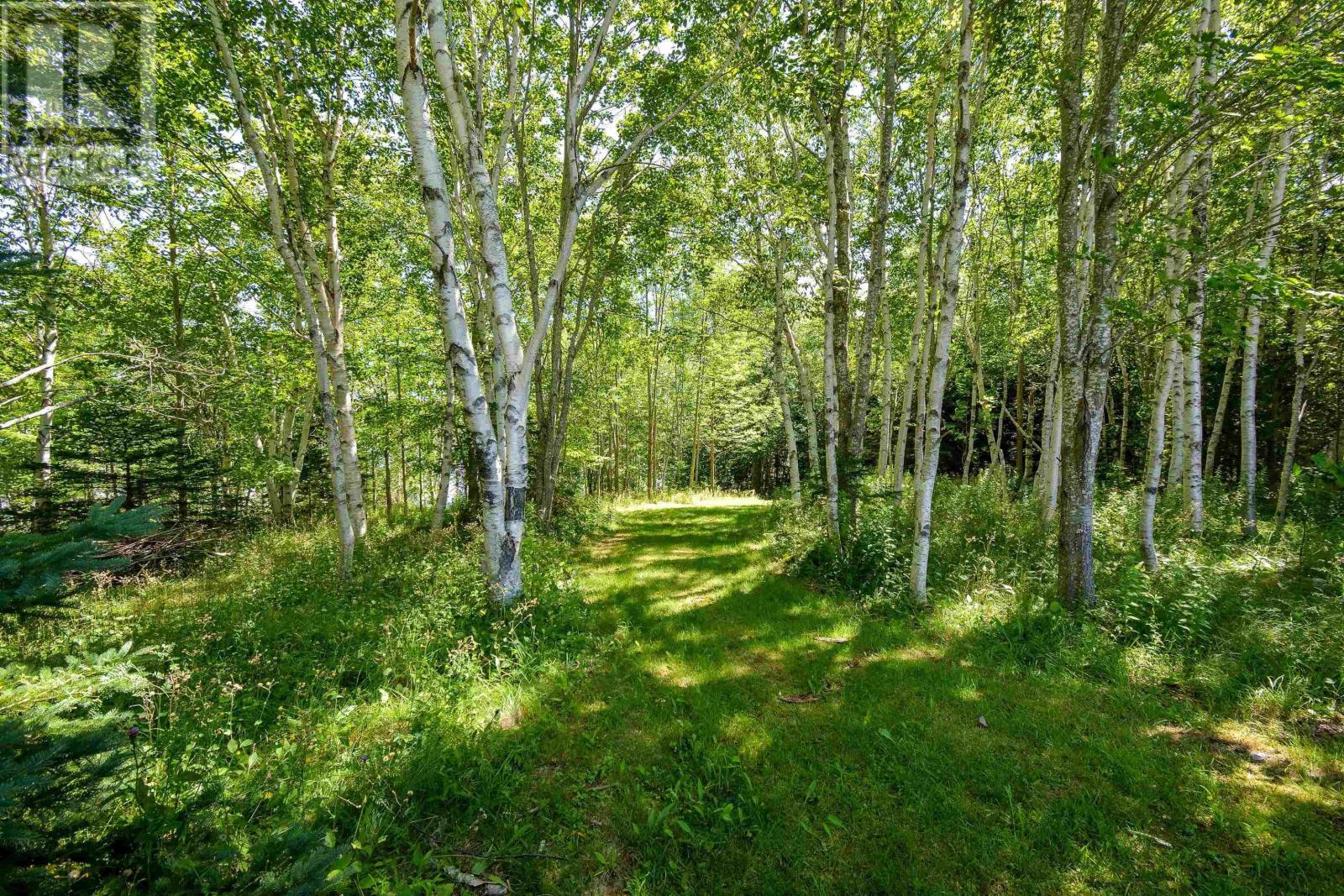 305 Militia Point Road, Militia Point, Nova Scotia  B0E 2Y0 - Photo 18 - 202513856