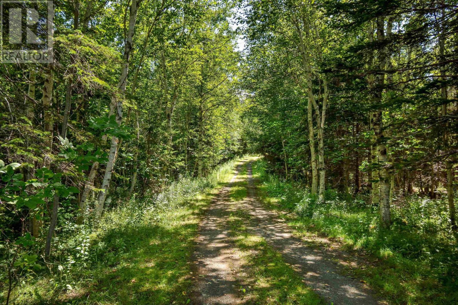 305 Militia Point Road, Militia Point, Nova Scotia  B0E 2Y0 - Photo 17 - 202513856