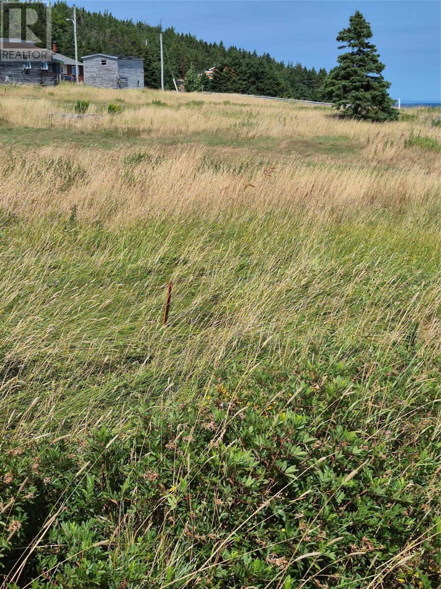 3 Wilfreds Lane, New Chelsea, Newfoundland & Labrador  A0B 2N0 - Photo 5 - 1288934
