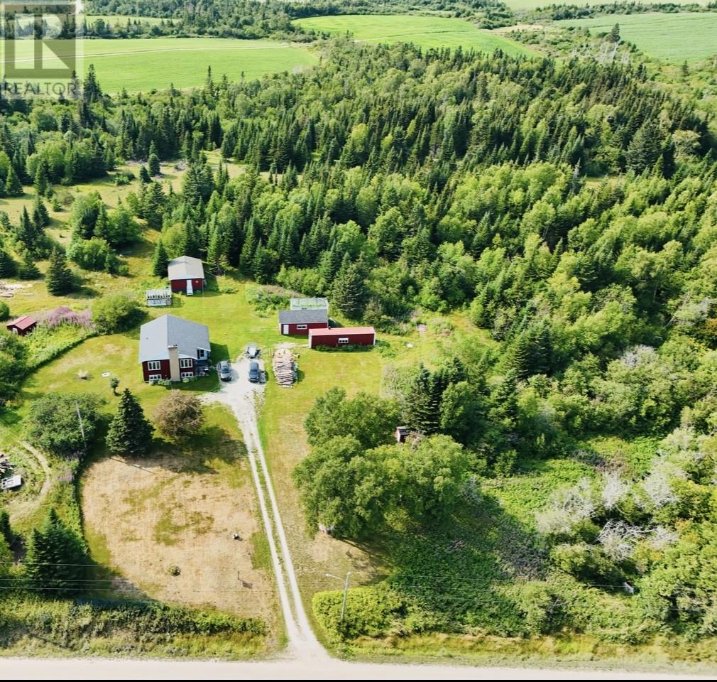 275 Tamarack Drive, Cormack, Newfoundland & Labrador  A8A 2P7 - Photo 32 - 1289213