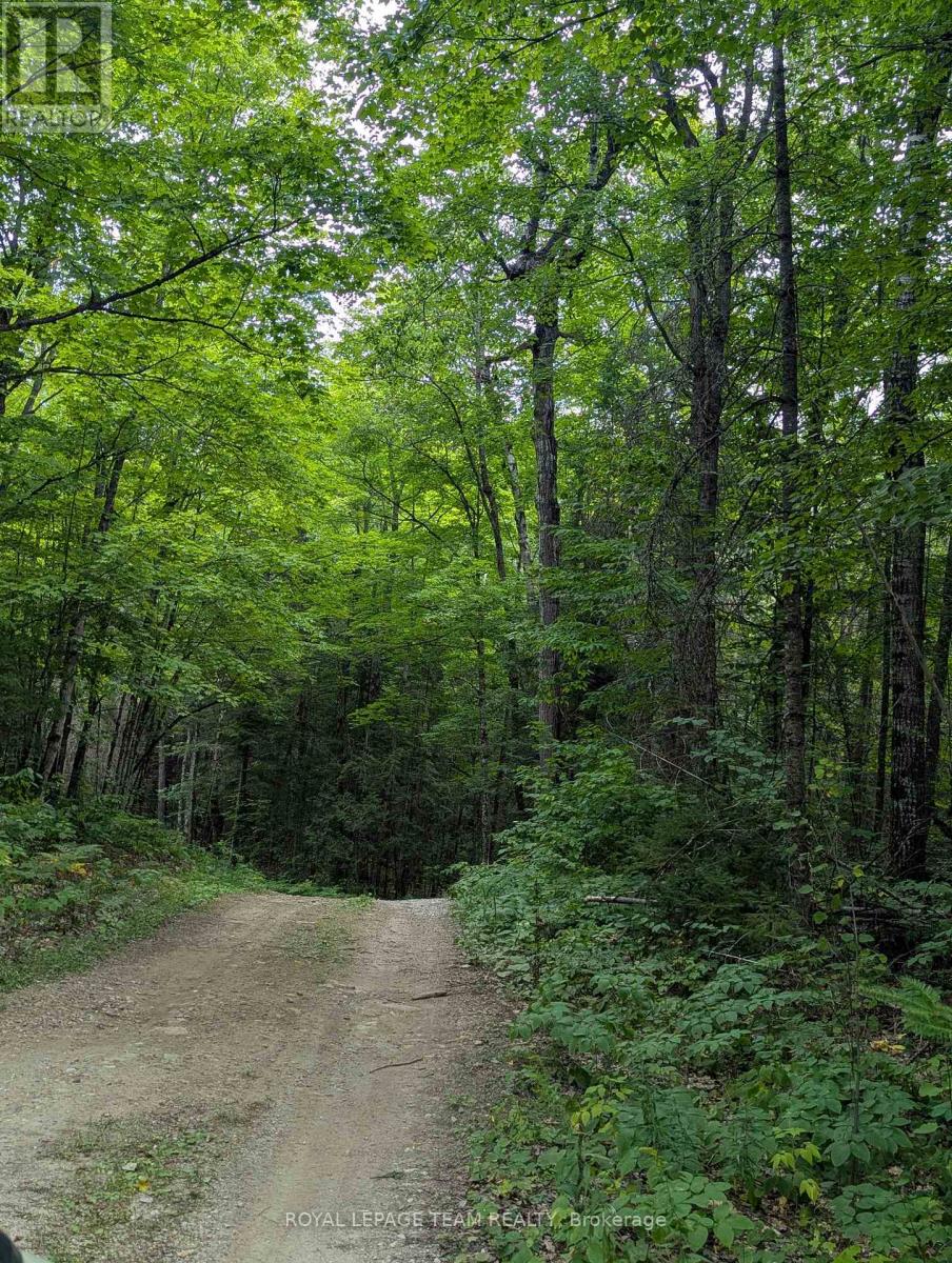 00 Triple Tower Road, Lanark Highlands, Ontario  K0G 1K0 - Photo 4 - X12343475