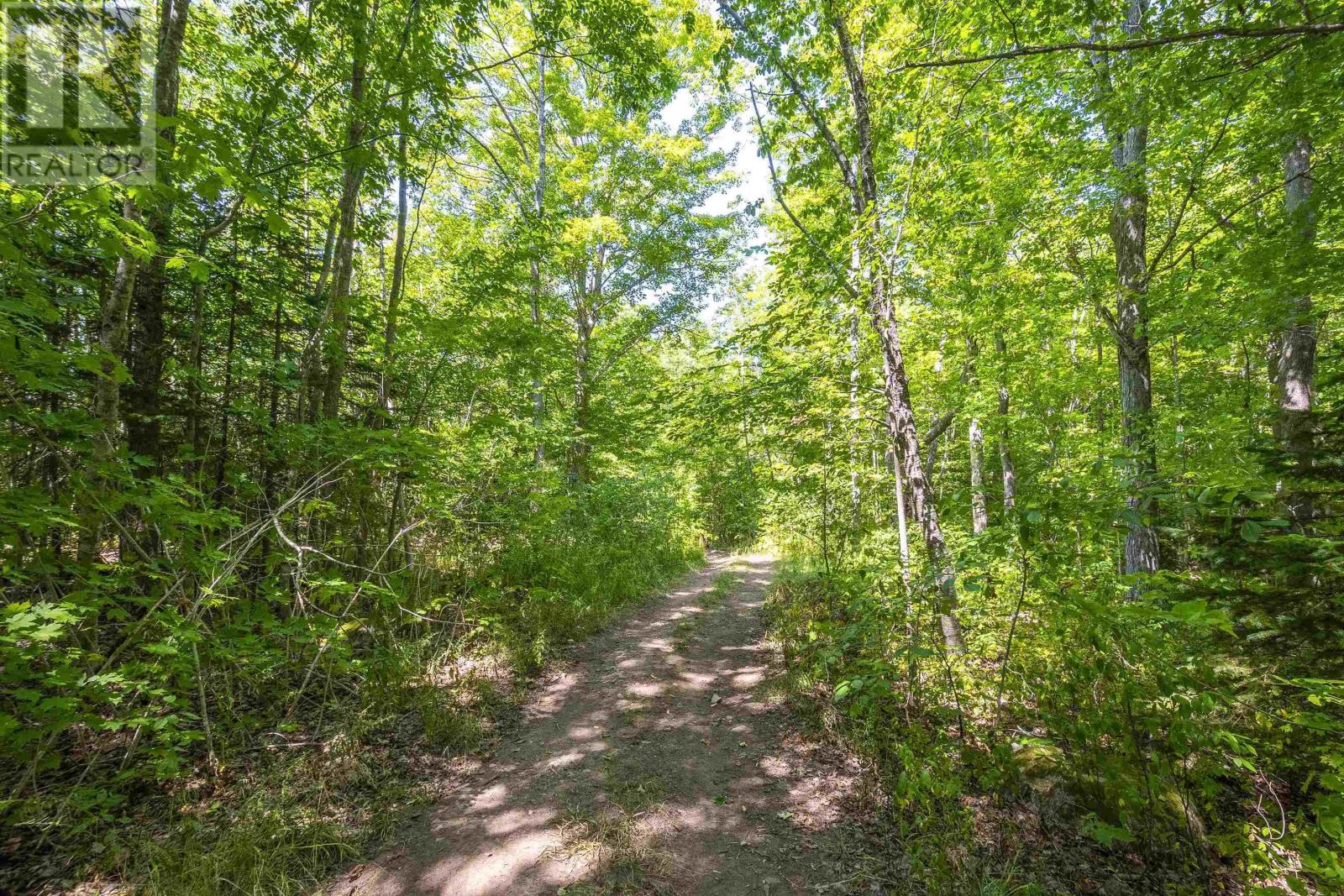 Lot 201 Highway, South Williamston, Nova Scotia  B0S 1M0 - Photo 4 - 202520356