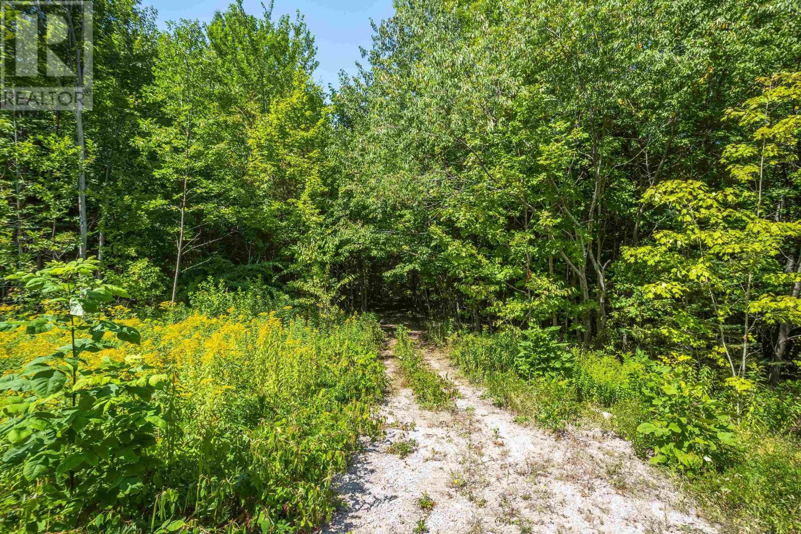 Lot 201 Highway, South Williamston, Nova Scotia  B0S 1M0 - Photo 2 - 202520356