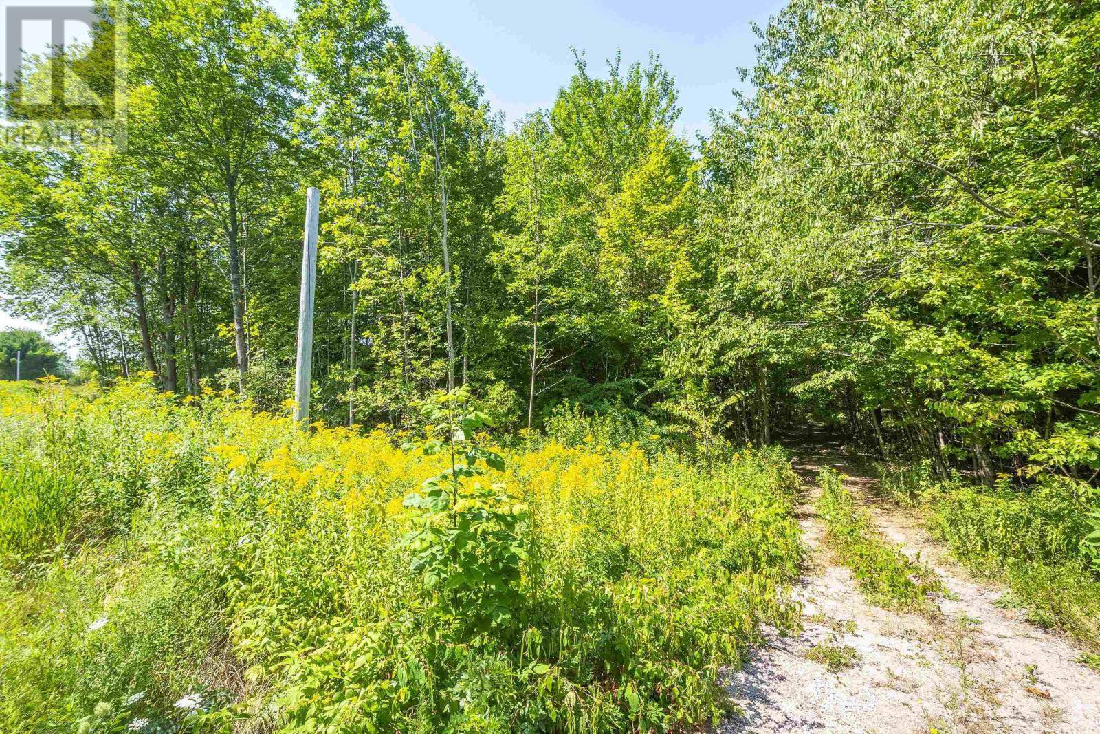 Lot 201 Highway, South Williamston, Nova Scotia  B0S 1M0 - Photo 3 - 202520356