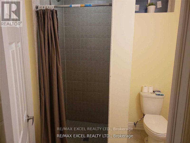 Lower Level - 585 Mcgregor Farm Trail, Newmarket, Ontario  L3X 0H6 - Photo 14 - N12343480