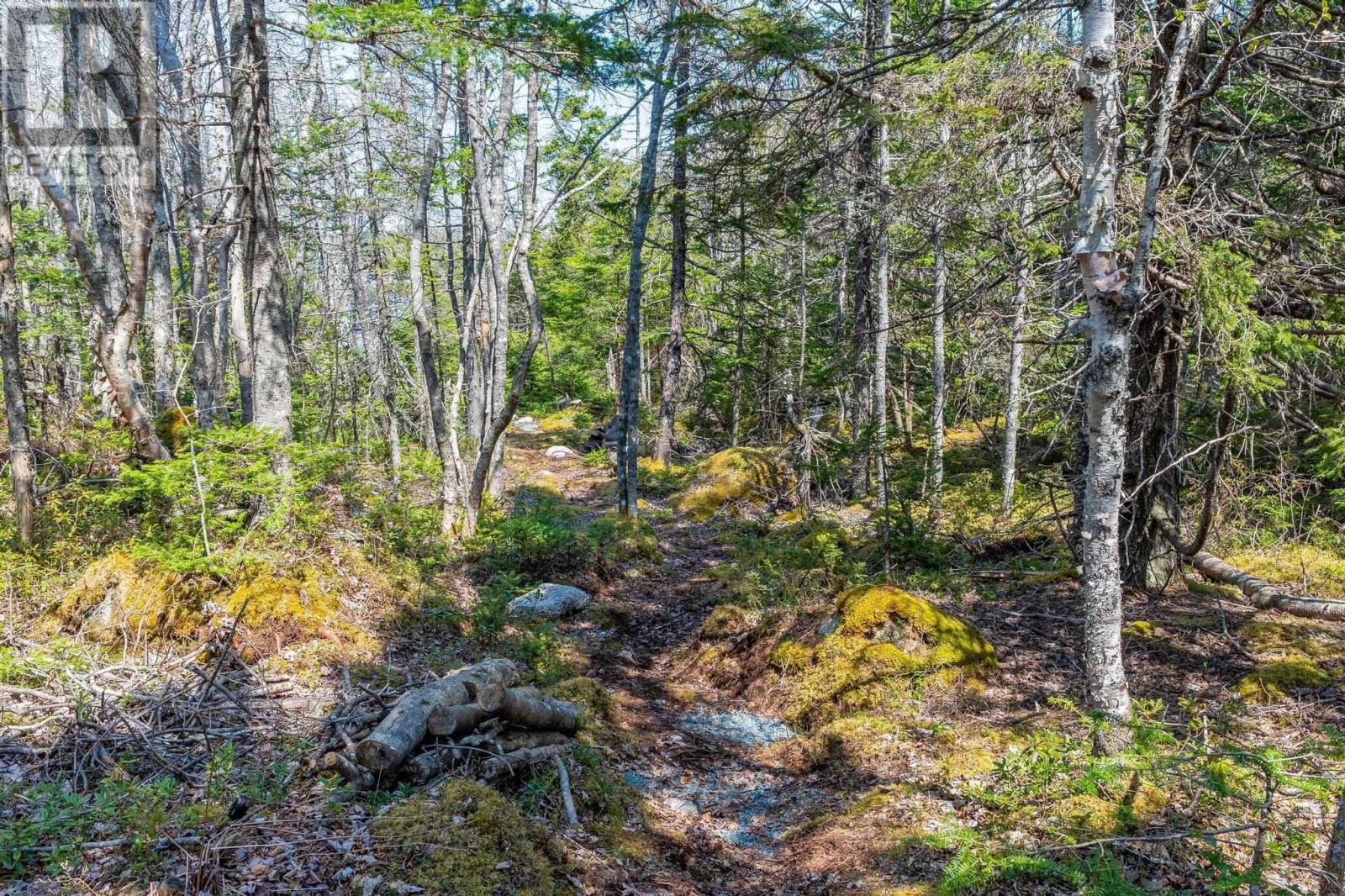 Scott's Point Road, Block A, East Dover, Nova Scotia  B3Z 3W2 - Photo 16 - 202511202
