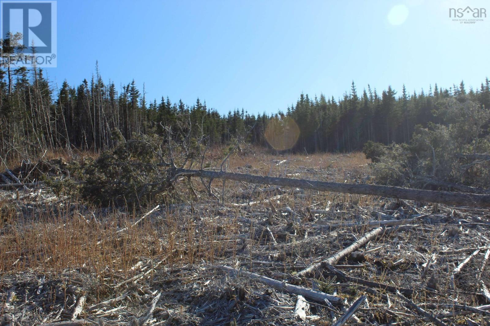 Lot 2 Bakers Road, Marie Joseph, Nova Scotia  B0J 2G0 - Photo 10 - 202509444
